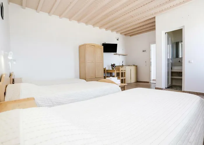 毛弗拉一室公寓酒店 Mykonos Town