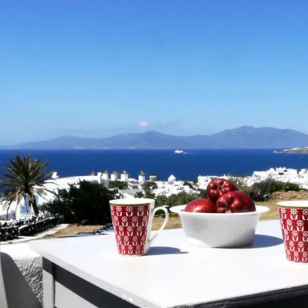 Morfoula's 아파트호텔 Mykonos Town